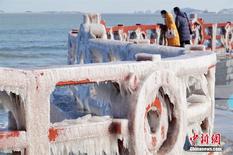 Shandong: guarda-corpos à beira-mar se condensam devido ao frio extremo
