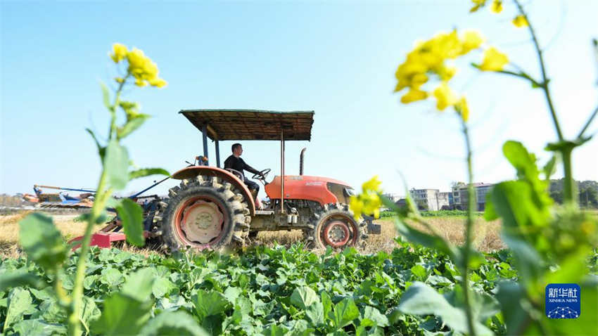 Galeria: arado de primavera começa em toda a China