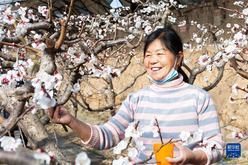 Galeria: arado de primavera começa em toda a China