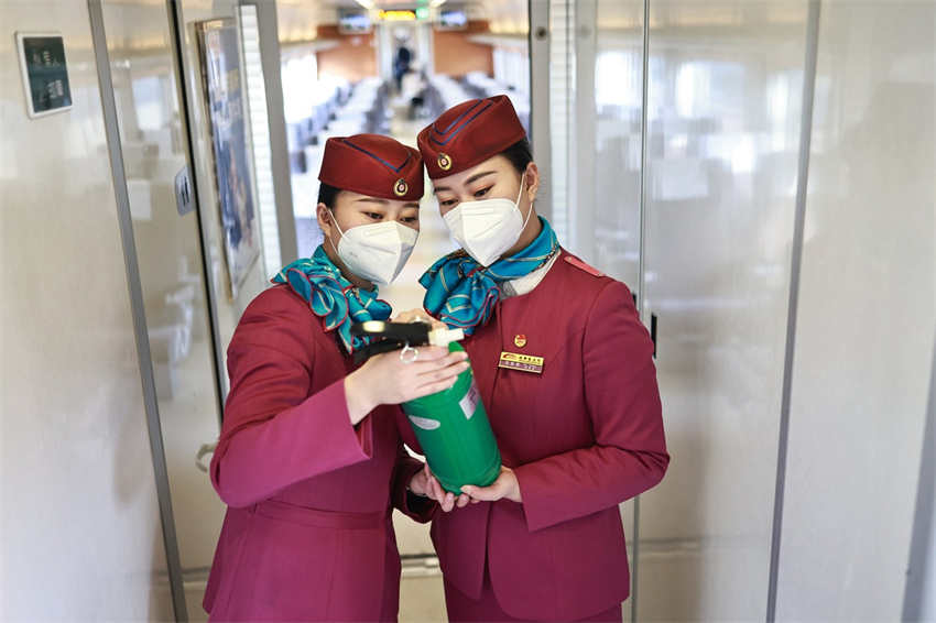 Comissárias de bordo de trem gêmeas passam férias ao serviço