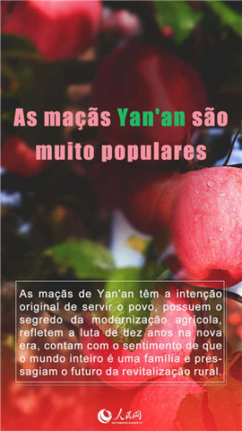 Porque se tornaram tão populares as maçãs de Yan’an?