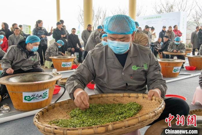 Sichuan: Leshan realiza concurso de fabrico artesanal de chá