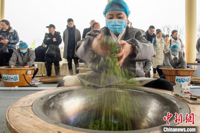 Sichuan: Leshan realiza concurso de fabrico artesanal de chá