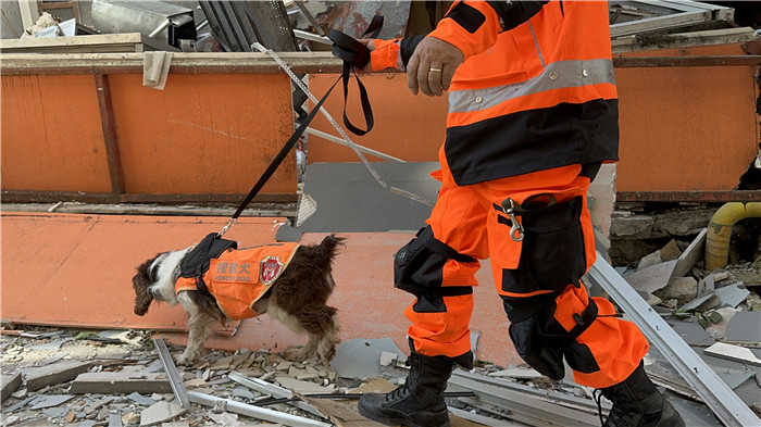 Diário de resgate: aplausos da equipe de resgate turca dão ânimo e esperança