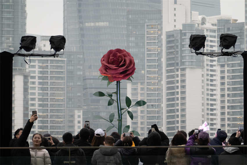 Escultura gigante de rosa instalada em Shanghai atrai cidadãos