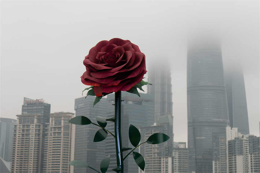 Escultura gigante de rosa instalada em Shanghai atrai cidadãos