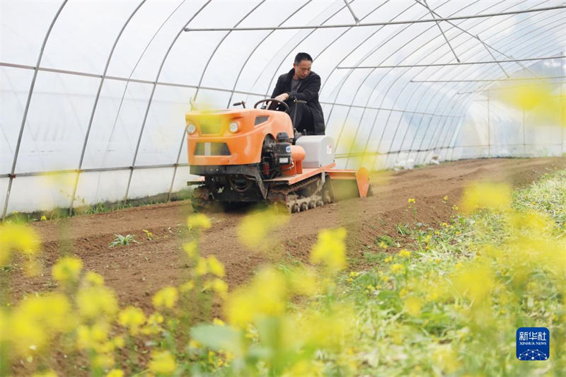 Galeria: agricultores estão ocupadas lavrando a terra na primavera