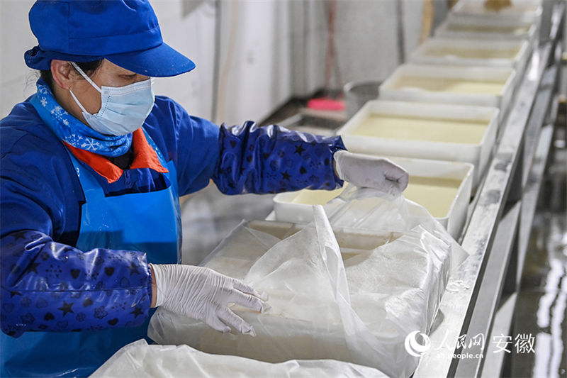 Anhui: vila com oficinas de produção caseira de tofu torna-se modelo nacional