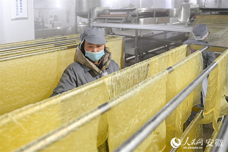 Anhui: vila com oficinas de produção caseira de tofu torna-se modelo nacional