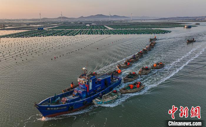 Pescadores estão ocupados no leste da China