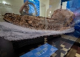 Peru exibe fósseis de cachalotes pré-históricos preservados há 7 milhões de anos
