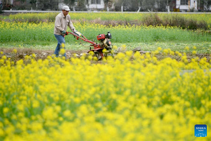 Agricultura da primavera avança em toda a China