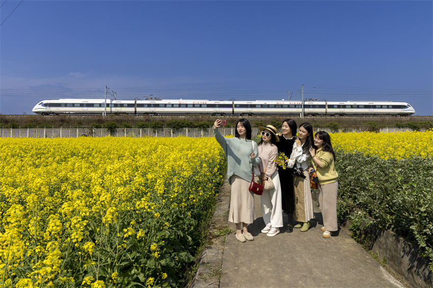 Galeria: trem-bala Tianfu atravessa campos de flores