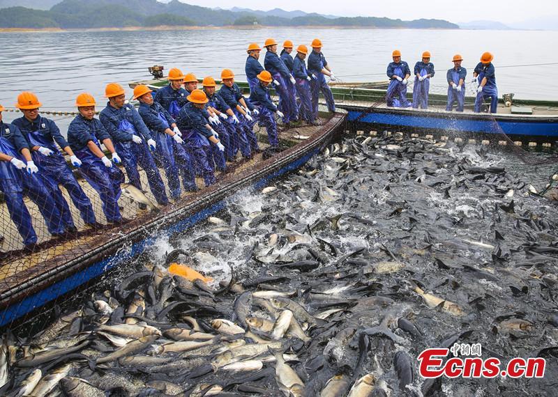 Zhejiang inicia época de pesca de 2023 