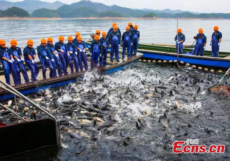 Zhejiang inicia época de pesca de 2023 