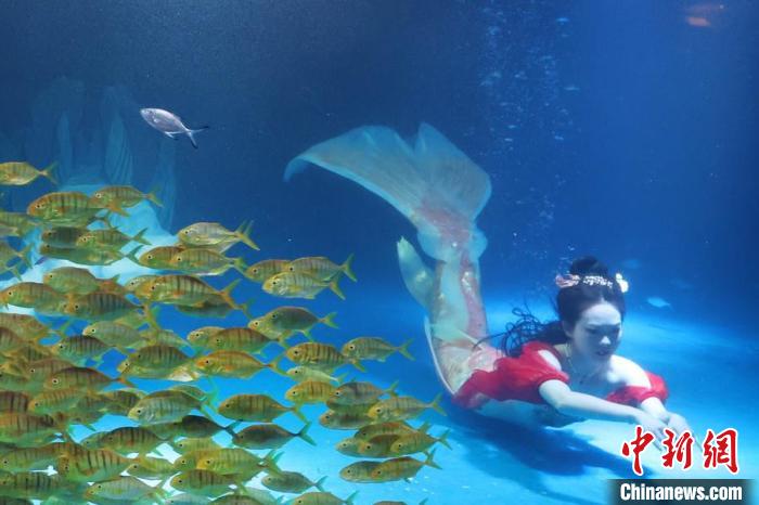 Mundo Subaquático de Nanjing realiza show de sereia subaquática