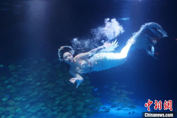Mundo Subaquático de Nanjing realiza show de sereia subaquática