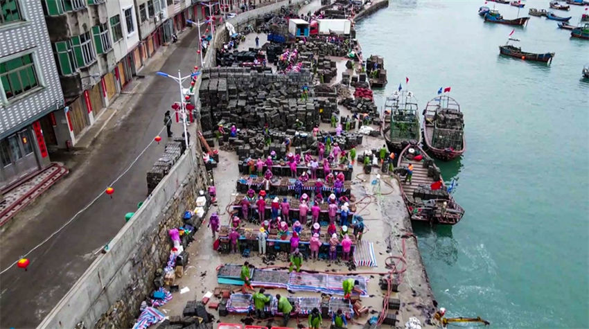 Galeria: 600 milhões de abalone lançado para piscicultura em Fujian