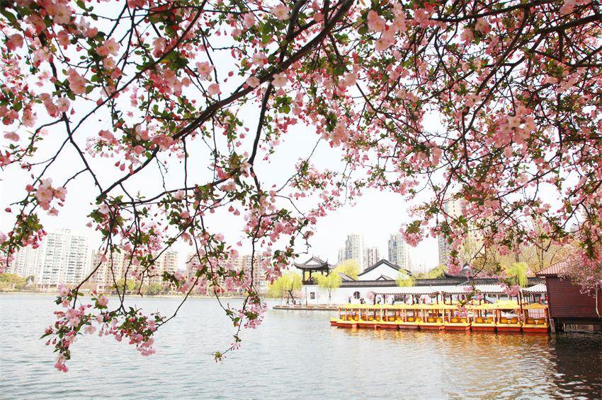 Turistas desfrutam da primavera em Nanjing