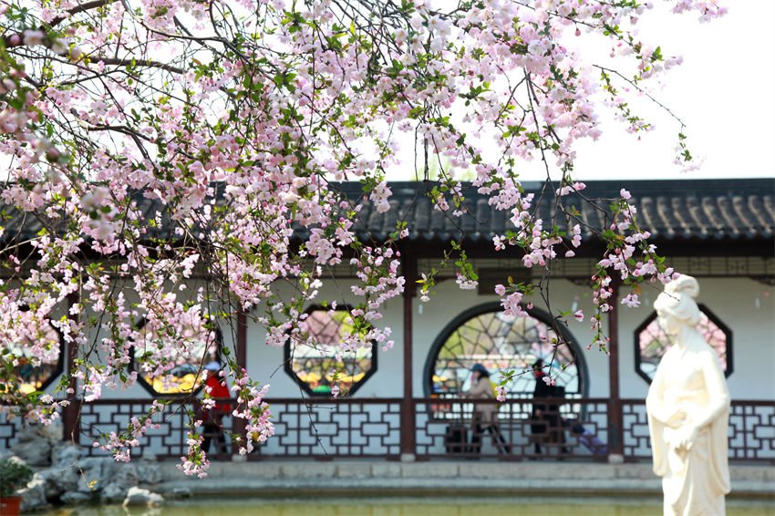 Turistas desfrutam da primavera em Nanjing