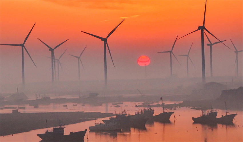 Energia eólica de Shandong impulsiona rápido desenvolvimento das pastagens marinhas