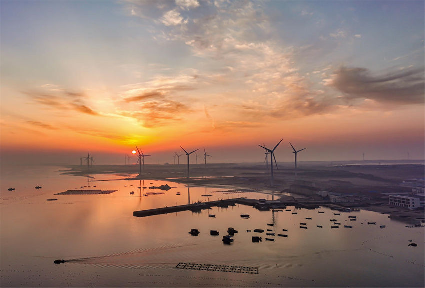 Energia eólica de Shandong impulsiona rápido desenvolvimento das pastagens marinhas