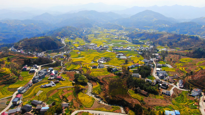 Galeria: Shaanxi dá as boas-vindas à primavera