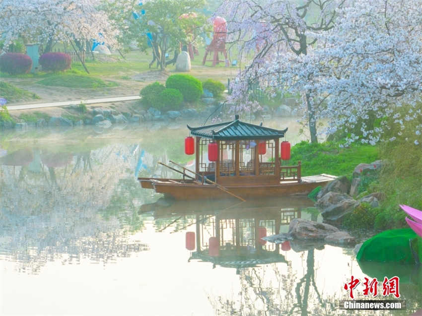 Galeria: parque de cerejeiras do Lago Leste de Wuhan