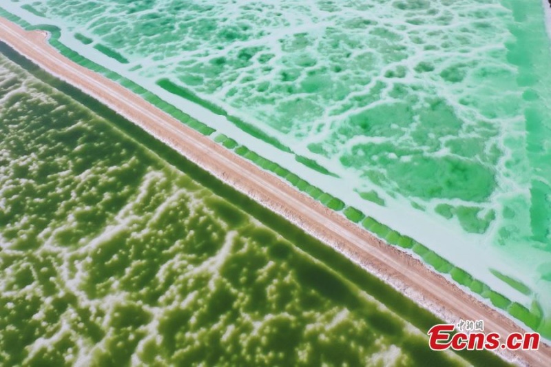 Lago Esmeralda chama atenção na Bacia de Qaidam em Qinghai