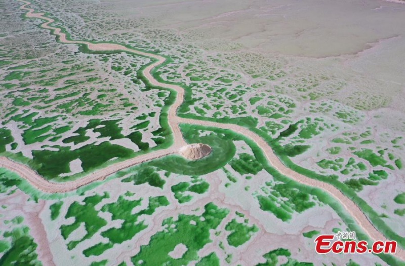 Lago Esmeralda chama atenção na Bacia de Qaidam em Qinghai