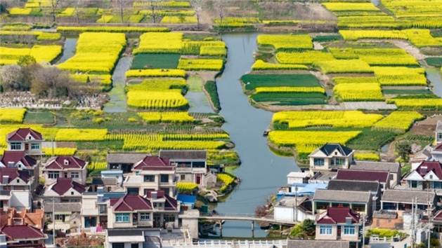 Galeria: cursos de água e cenários campestres cruzam-se na faceta rural de Jiangsu