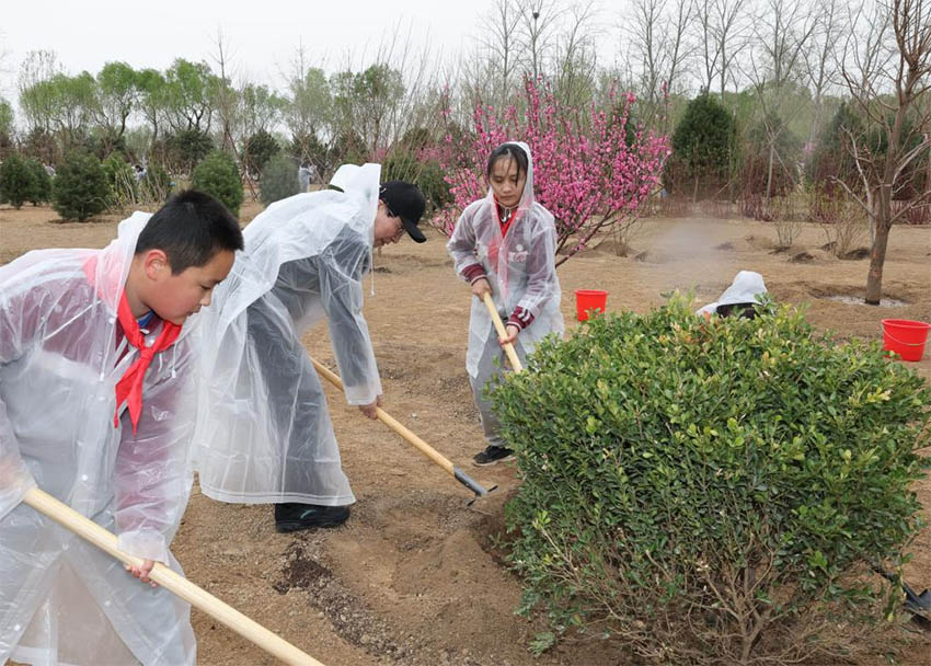 Xi Jinping planta árvores em Beijing, pedindo mais esforços de reflorestamento para desenvolvimento verde e construção da bela China