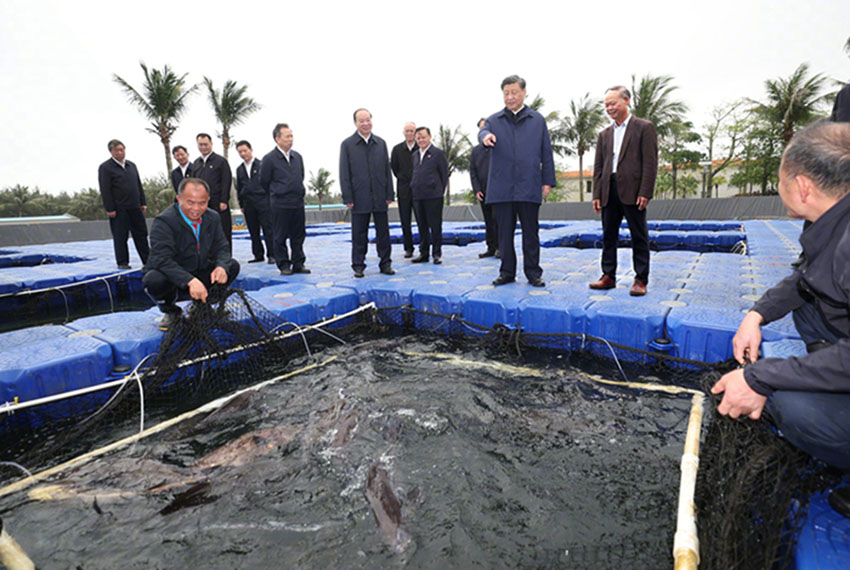 Xi Jinping inspeciona Província de Guangdong, no sul da China