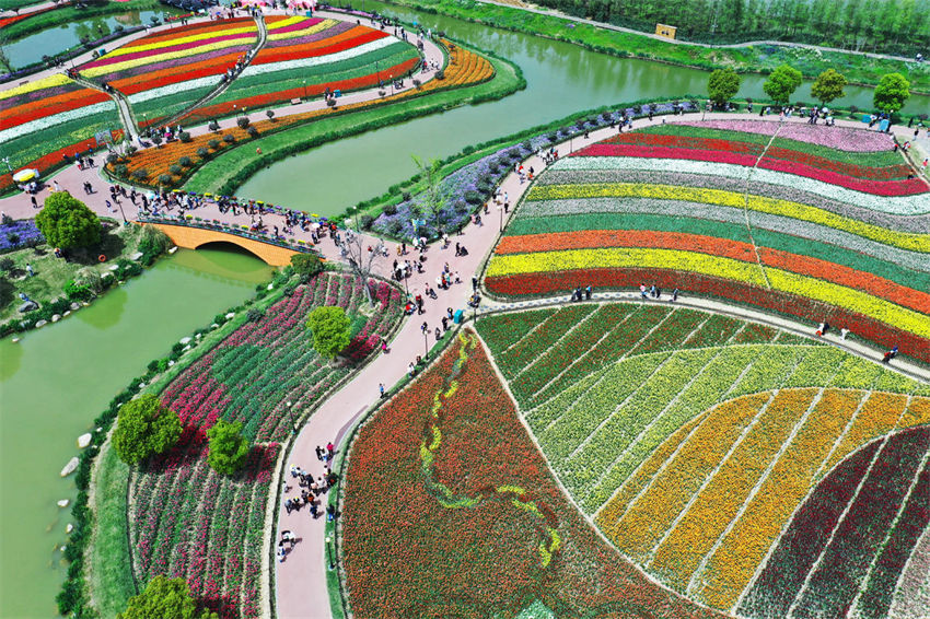 Galeria: belo mar de flores na primavera em Jiangsu