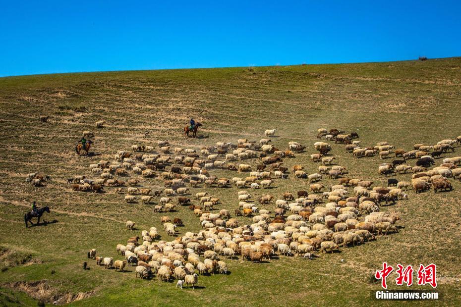 Xinjiang: policiais convertidos em 