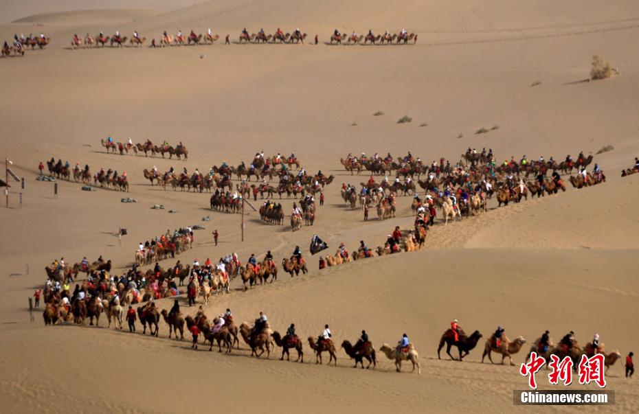 Engarrafamentos nas passagens de camelos são registrados no noroeste da China