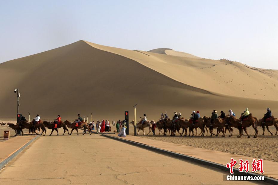 Engarrafamentos nas passagens de camelos são registrados no noroeste da China