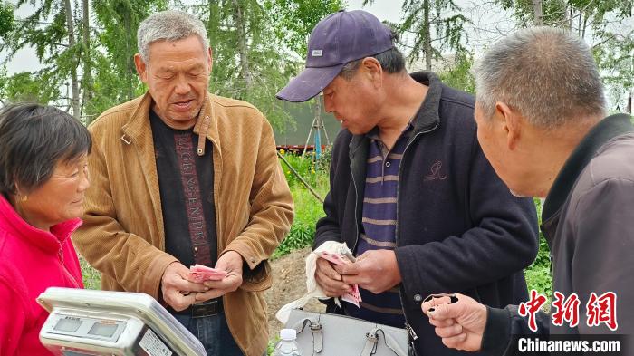 Colheita e comercialização de alho é iniciada em Zhoukou, centro da China