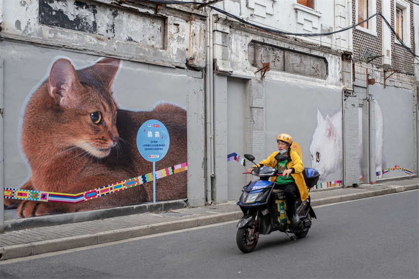 Shanghai: artistas transformam rua antiga em foco de criatividade