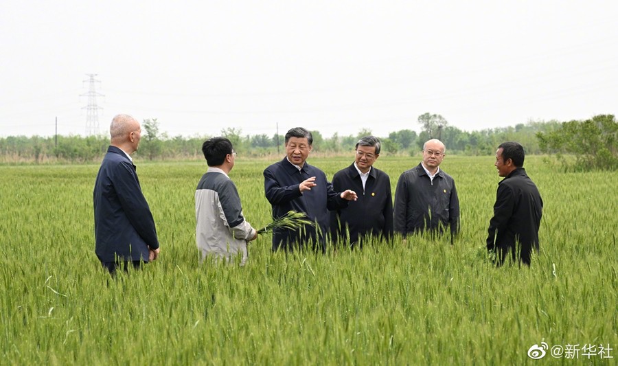 Xi Jinping visita cidade de Cangzhou