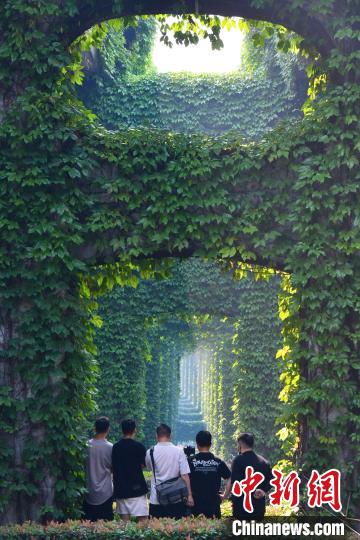 Galeria: paisagem verde sob viaduto atrai cidadãos no sudoeste da China