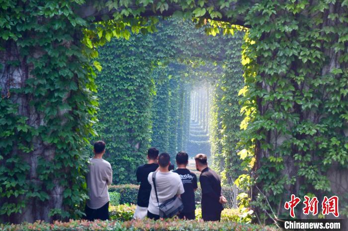 Galeria: paisagem verde sob viaduto atrai cidadãos no sudoeste da China