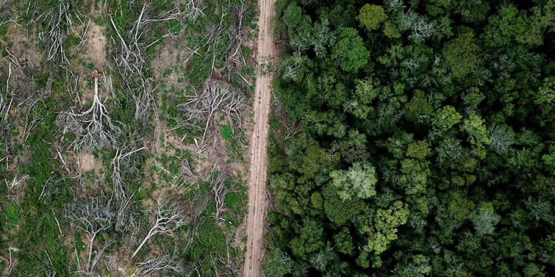 Desmatamento na Amazônia cai 36% nos primeiros quatro meses de 2023