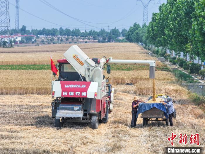 Henan realiza colheita de mais de 30 mil hectares de trigo