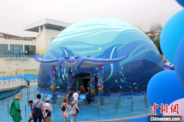 Cúpula de 360 graus de teatro traz banquete audiovisual oceânico no leste da China
