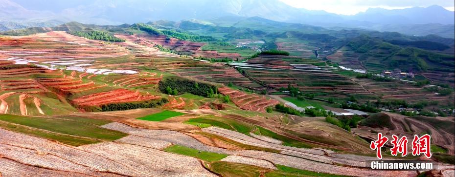 Galeria: paisagem pitoresca das montanhas de Qinghai