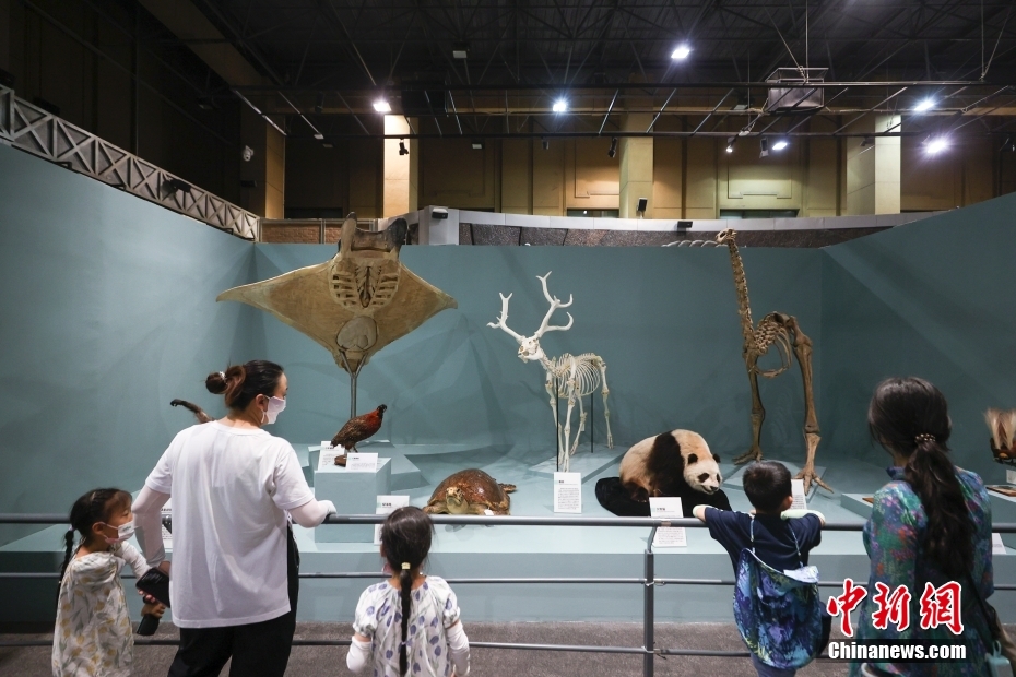 Museu Nacional de História Natural abre ao público