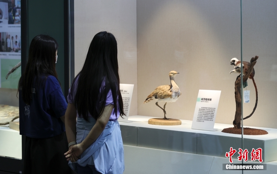 Museu Nacional de História Natural abre ao público