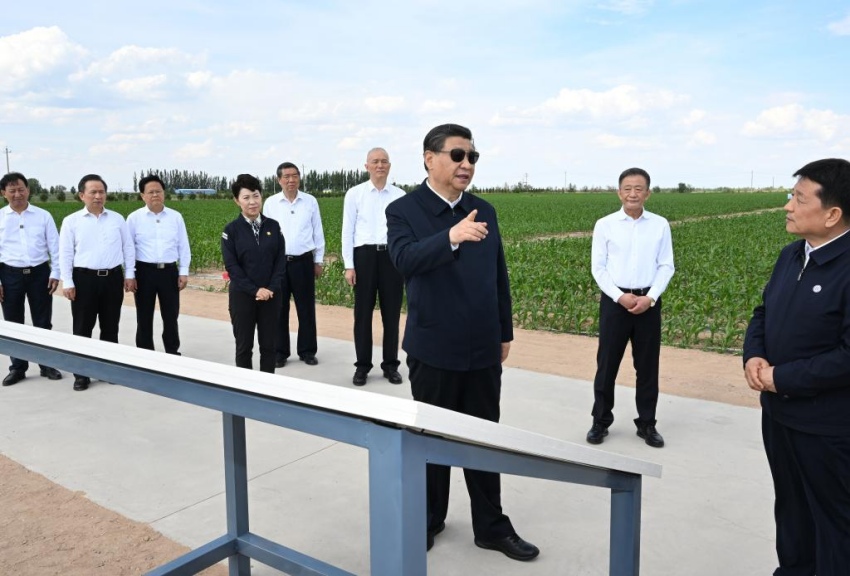 Xi Jinping pede esforços sustentados para controlar a desertificação