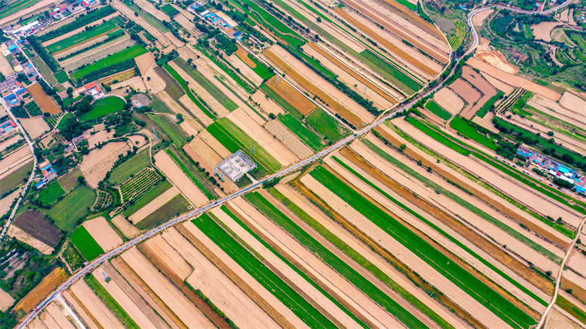 Galeria: condado de Shanxi aposta na integração da agricultura com o paisagismo para atração de turistas